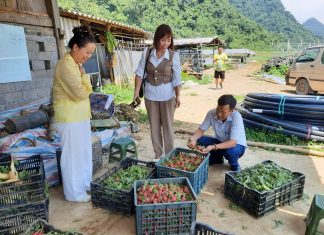 Triển vọng phát triển xuất khẩu hàng nông sản