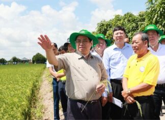 Để kinh tế tập thể, nòng cốt là hợp tác xã, phát triển bền vững, góp phần quan trọng trong phát triển kinh tế – xã hội của đất nước