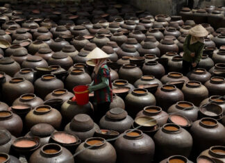 “Làn gió mới” cho hợp tác xã, hộ kinh doanh