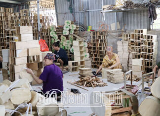 Nam Định: Phát huy vai trò hợp tác xã trong xây dựng nông thôn mới nâng cao, kiểu mẫu