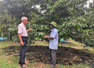 Lâm Đồng: Hợp tác xã “3 khỏe” nơi thủ phủ sầu riêng