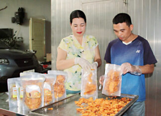 Bắc Giang: Cầm tay chỉ việc, đẩy nhanh tiến độ Chương trình OCOP