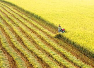 Đồng Nai: Phấn đấu thành lập 25 hợp tác xã trong năm 2025