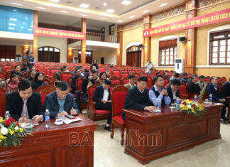 Đánh giá mô hình sản xuất khoai tây FL2215