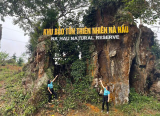 Yên Bái phát triển hợp tác xã vùng dân tộc thiểu số