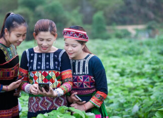 Chợ trực tuyến mở ‘cánh cửa’ tiêu thụ nông sản cho HTX