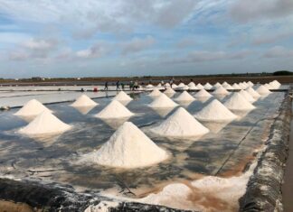 Nhiều sự kiện nổi bật tại Festival nghề Muối Việt Nam – Bạc Liêu năm 2025