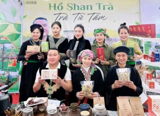 Yên Bái: Nhiều mô hình, cách làm sáng tạo hiệu quả trong chuyển đổi số tại các hợp tác xã