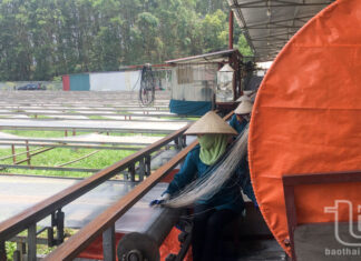 Thái Nguyên: 590 hợp tác xã nông nghiệp duy trì hoạt động ổn định