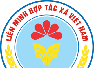 Ngày Hợp tác xã Việt Nam 11/4 – Tháng hành động vì Hợp tác xã và Năm quốc tế hợp tác xã 2025