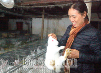 Hiển Khánh phát triển kinh tế trang trại gắn với chuỗi liên kết tiêu thụ sản phẩm