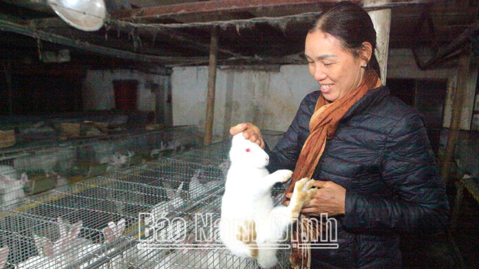 untitled-1_20250226201814