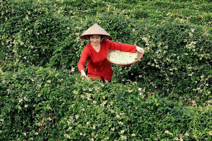 -2192-1742377578_1200x0