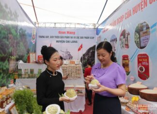 Hỗ trợ phát triển thương hiệu, mở rộng thị trường: Điểm sáng Chi Lăng