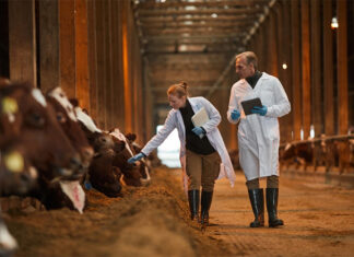 300 HTX ‘tầm vóc’ lớn nhất thế giới