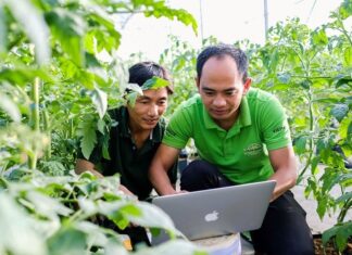 Nghị quyết của Liên Hợp quốc về Năm Quốc tế HTX 2025