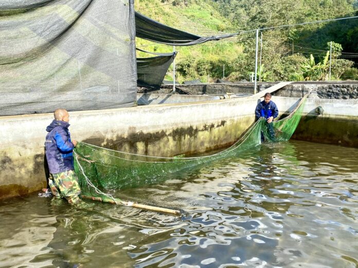 8d06b2a9-468b-4cd4-945b-bb3753262a97