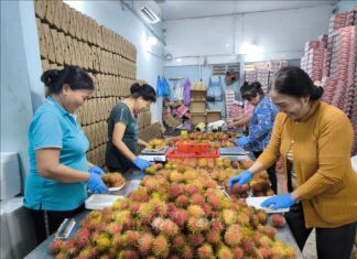 Đóng góp của khu vực KTTT, hợp tác xã vào GDP của cả nước trung bình đạt khoảng 4,8%