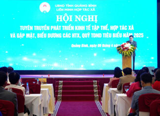 Biểu dương các hợp tác xã, quỹ tín dụng nhân dân tiêu biểu