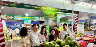 Hội chợ xúc tiến thương mại cho các Hợp tác xã tại khu vực miền Bắc năm 2025